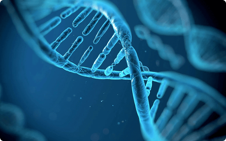 A close up of the dna strand on a blue background