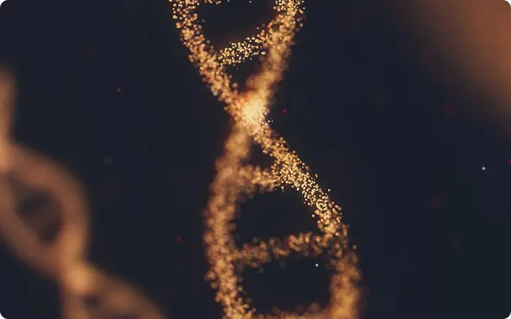 A blurry image of the dna helix.